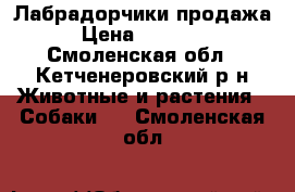 Лабрадорчики продажа › Цена ­ 12 000 - Смоленская обл., Кетченеровский р-н Животные и растения » Собаки   . Смоленская обл.